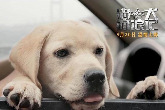 忠犬流浪記