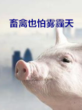 ҲF