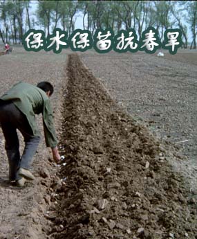 ˮ翹